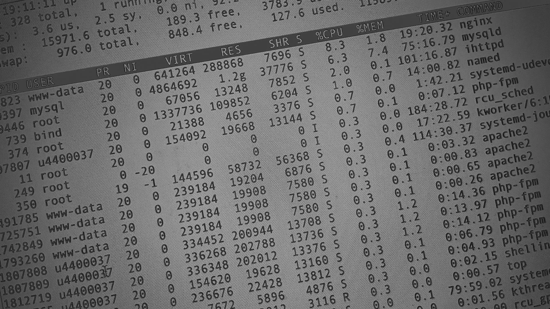 Настройка сервера в Салаире