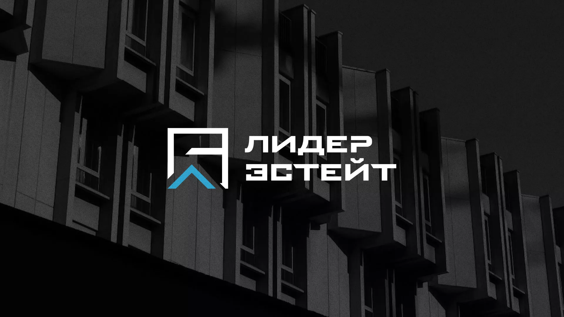 Разработка логотипа агентства недвижимости «Лидер Эстейт» в Салаире